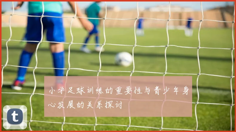 小学足球训练的重要性与青少年身心发展的关系探讨