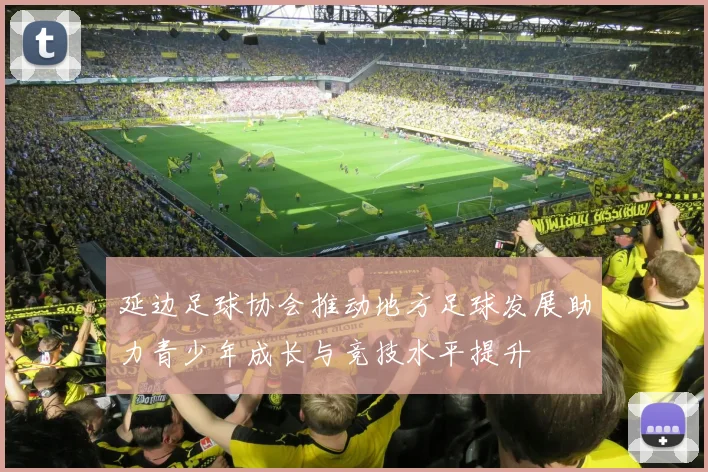 延边足球协会推动地方足球发展助力青少年成长与竞技水平提升