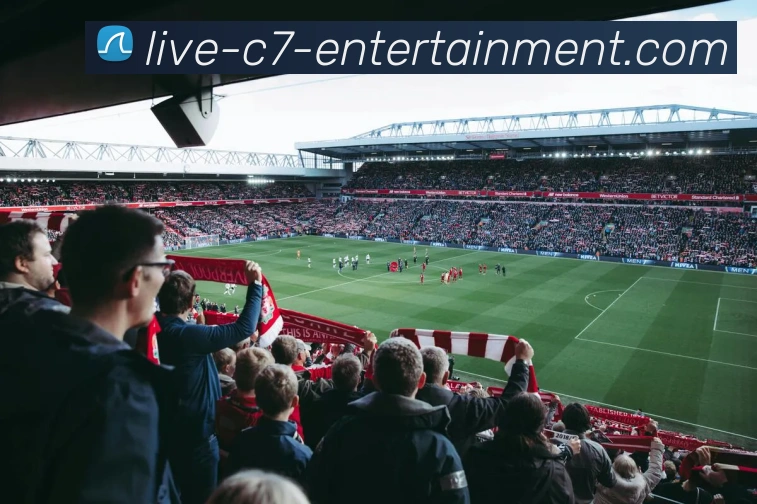 App Interface Preview